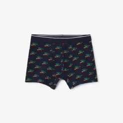 Store Box met fantasieboxer Boxer