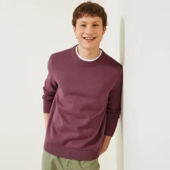 Best Effen trui Trui