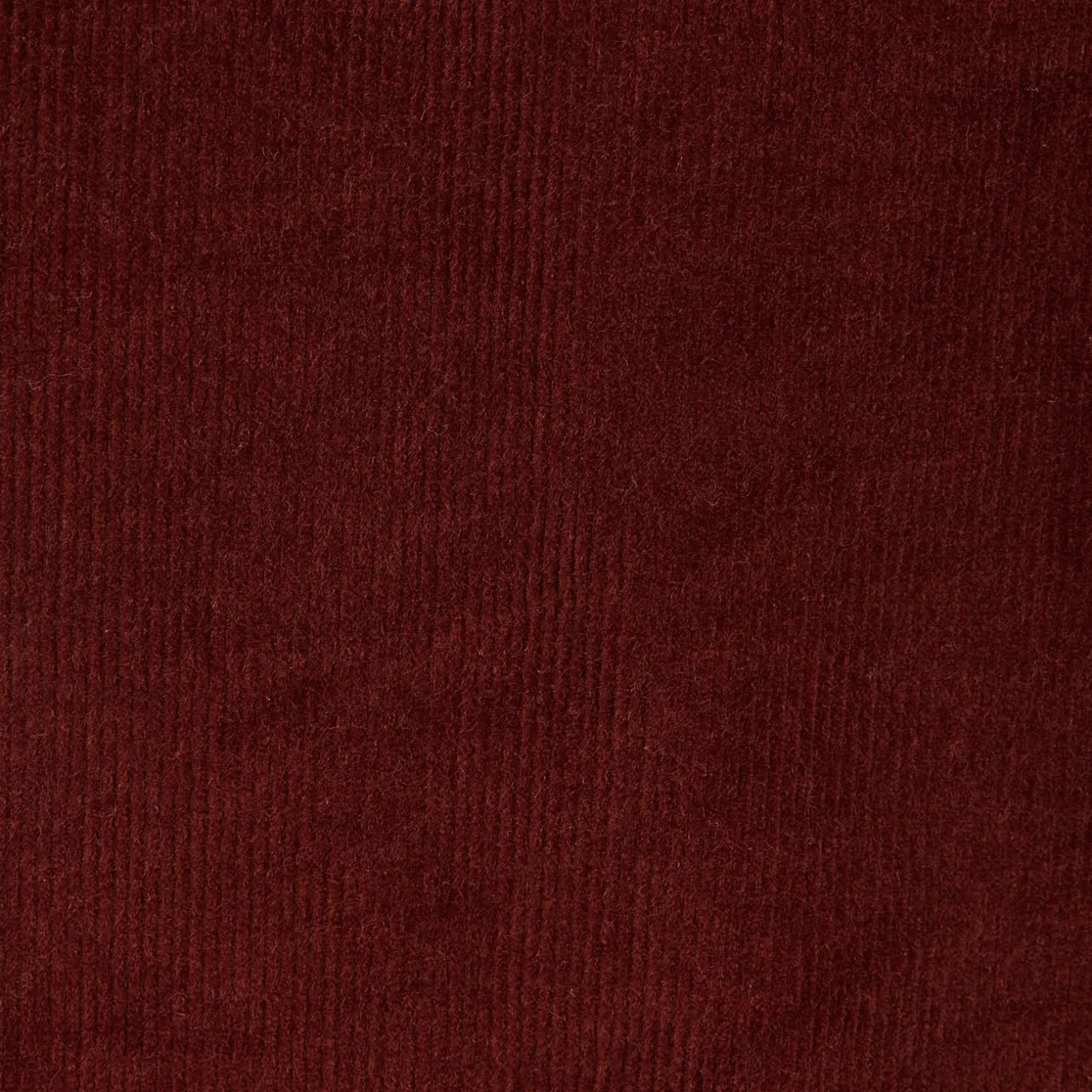 Shop Fluwelen chinobroek Broek Chino|Broek