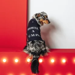 Shop Kersttrui voor honden Honden Kleding
