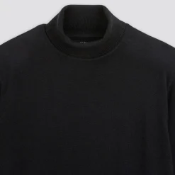 Store Trui met rolkraag in merinoswol Trui